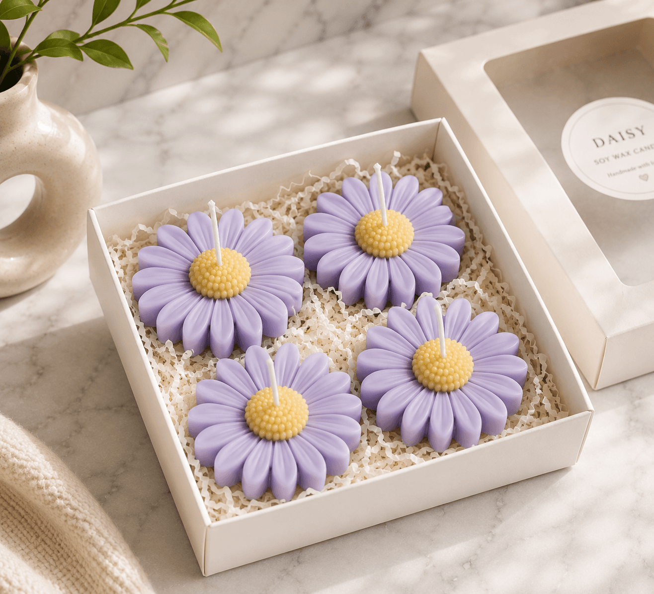 Gerbera Bloom